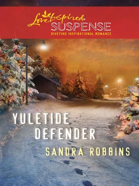 Sandra Robbins Yuletide Defender обложка книги