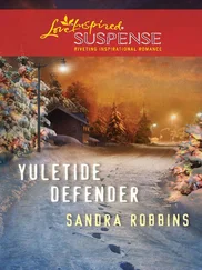 Sandra Robbins - Yuletide Defender