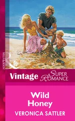 Veronica Sattler - Wild Honey