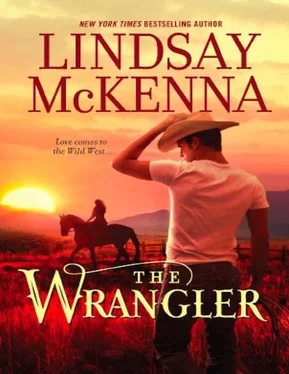 Lindsay McKenna The Wrangler обложка книги