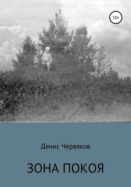 Денис Червяков Зона покоя обложка книги