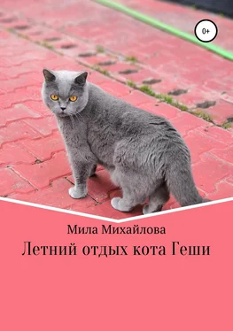 Мила Михайлова Летний отдых кота Геши обложка книги