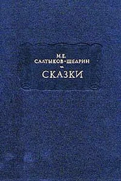Михаил Салтыков-Щедрин Христова ночь обложка книги