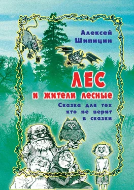 Алексей Шипицин Лес и жители лесные. Сказка для тех, кто не верит в сказки обложка книги