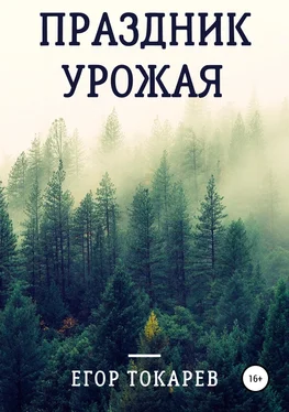 Егор Токарев Праздник урожая обложка книги
