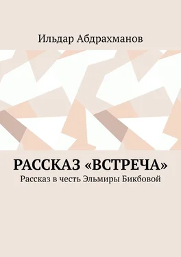 Ильдар Абдрахманов Рассказ «Встреча». Рассказ в честь Эльмиры Бикбовой обложка книги