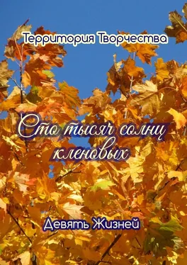 Валентина Спирина Сто тысяч солнц кленовых. Девять Жизней обложка книги