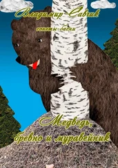 Владимир Савчик - Медведь, бревно и муравейник