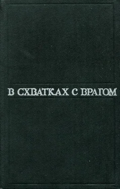 Владимир Востоков Галантный «Водовоз» обложка книги