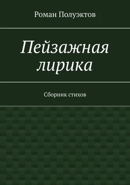 Роман Полуэктов Пейзажная лирика. Сборник стихов обложка книги