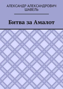 Александр Шавель Битва за Амалот обложка книги