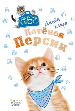 Джейн Кларк Котёнок Персик обложка книги