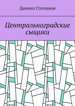 Даниил Степанов Центральноградские сыщики обложка книги