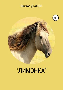 Виктор Дьяков «Лимонка» обложка книги