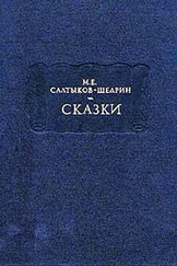 Михаил Салтыков-Щедрин - Бедный волк