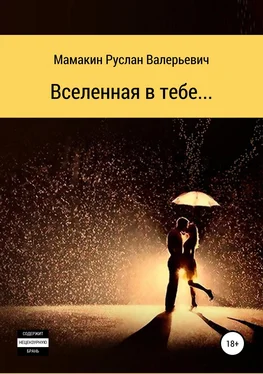 Руслан Мамакин Вселенная в тебе… обложка книги