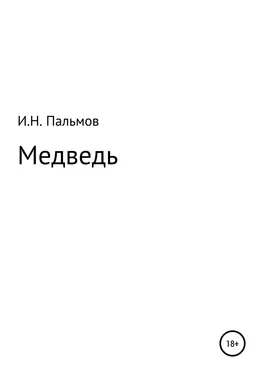 Иван Пальмов Медведь обложка книги