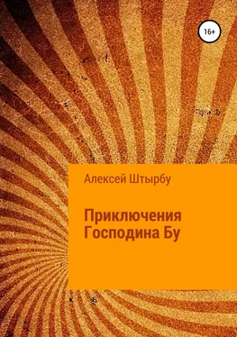 Алексей Штырбу Приключения Господина Бу обложка книги