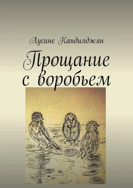 Лусине Кандилджян Прощание с воробьем обложка книги