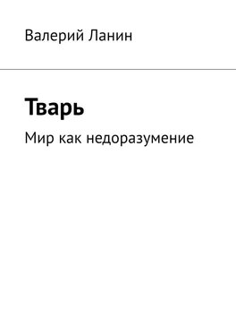 Валерий Ланин Тварь. Мир как недоразумение обложка книги