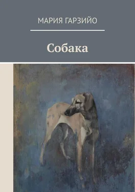 Мария Гарзийо Собака обложка книги