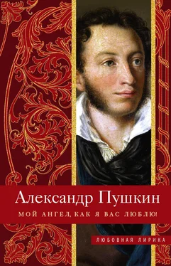 Александр Пушкин Мой ангел, как я вас люблю! обложка книги