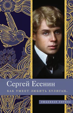 Сергей Есенин Как умеет любить хулиган… обложка книги