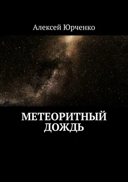 Алексей Юрченко Метеоритный дождь обложка книги