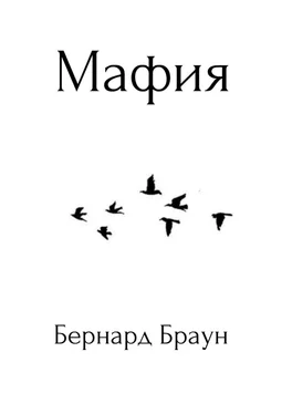 Бернард Браун Мафия обложка книги