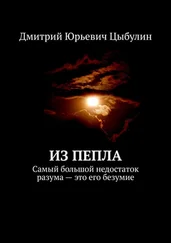 Дмитрий Цыбулин - Из пепла. Самый большой недостаток разума – это его безумие