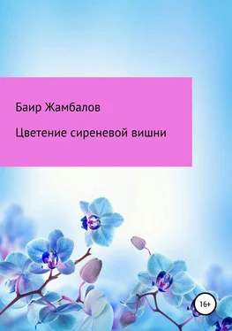 Баир Жамбалов Цветение сиреневой вишни обложка книги