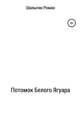 Роман Шалыгин Потомок Белого Ягуара обложка книги