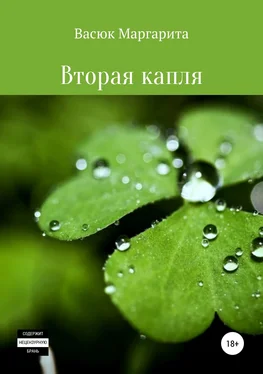 Маргарита Васюк Вторая капля обложка книги