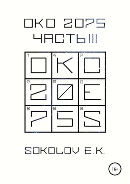Евгений Соколов ОКО 2075: Часть 3 обложка книги