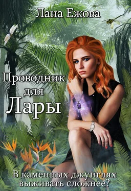 Лана Ежова Проводник для Лары обложка книги