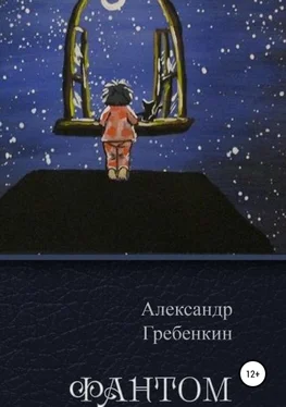 Александр Гребёнкин Фантом обложка книги