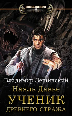 Владимир Зещинский Наяль Давье. Ученик древнего стража обложка книги