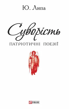 Юрій Липа Суворість обложка книги