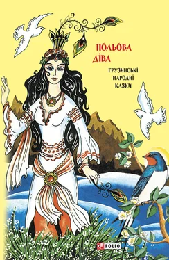 Array Folk art (Folklore) Казки добрих сусідів. Польова діва. Грузинські народні казки обложка книги