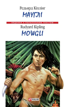 Редьярд Кіплінг Мауглі = Mowgli обложка книги