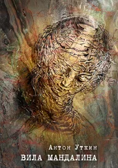 Антон Уткин - Вила Мандалина