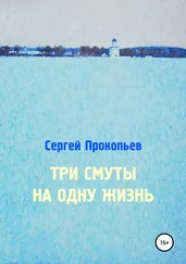 Сергей Прокопьев - Три смуты на одну жизнь