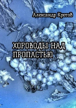 Александр Кротов Хороводы над пропастью обложка книги