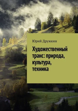 Юрий Дружкин Художественный транс: природа, культура, техника обложка книги