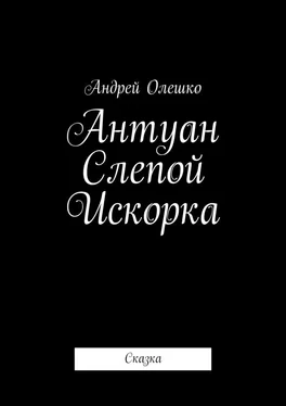 Андрей Олешко Антуан Слепой Искорка. Сказка обложка книги