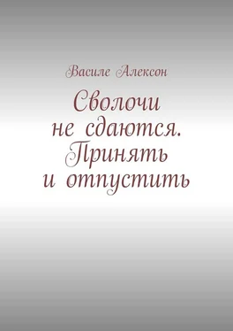 Василе Алексон Сволочи не сдаются. Принять и отпустить обложка книги