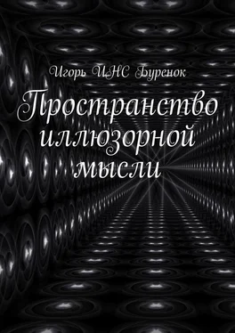 Игорь ИНС Буренок Пространство иллюзорной мысли обложка книги