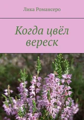 Лика Романсеро - Когда цвёл вереск