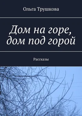 Ольга Трушкова Дом на горе, дом под горой. Рассказы обложка книги