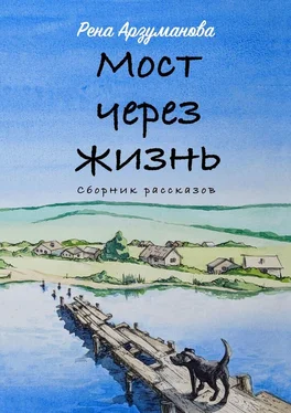 Рена Арзуманова Мост через жизнь обложка книги